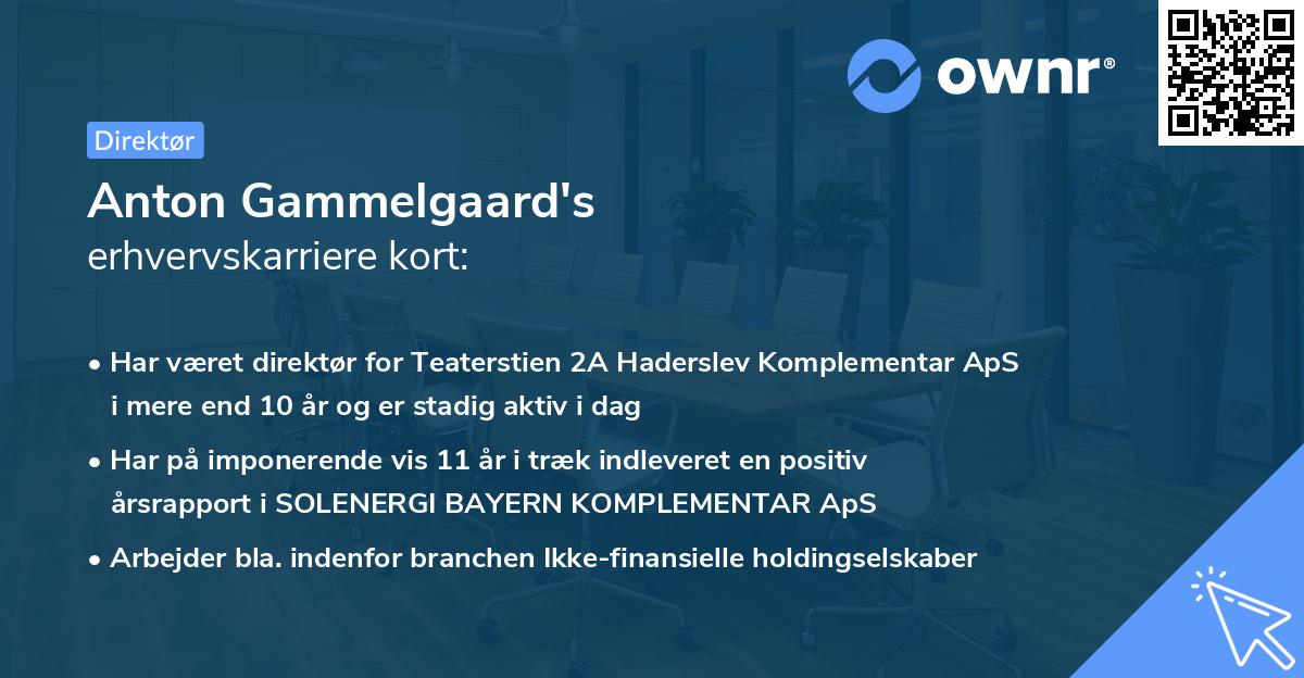 Anton Gammelgaard's erhvervskarriere kort