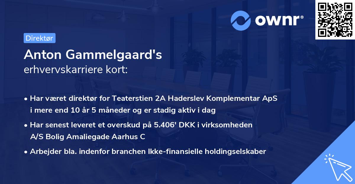 Anton Gammelgaard's erhvervskarriere kort