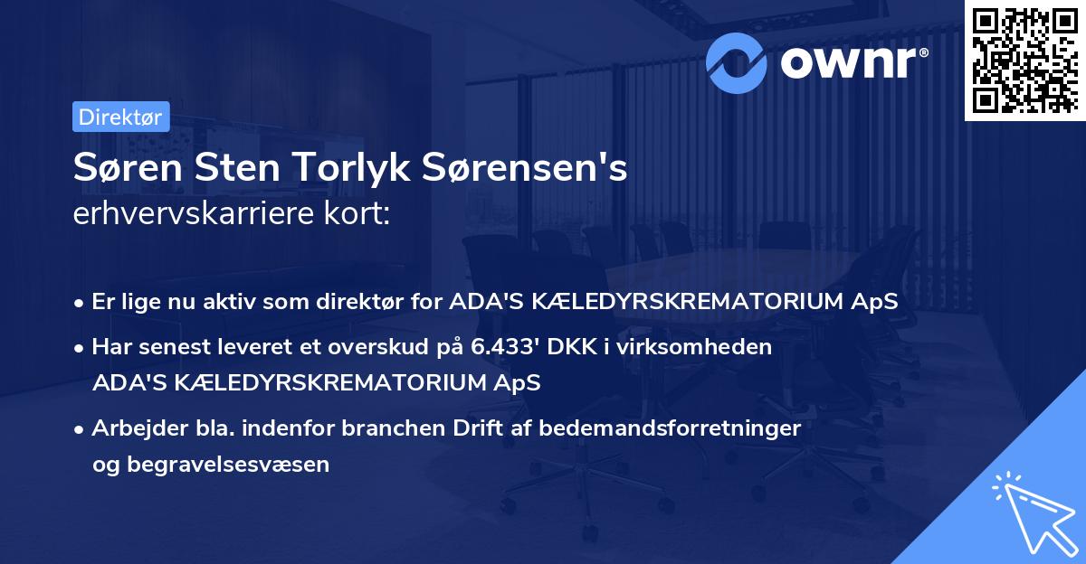 Søren Sten Torlyk Sørensen's erhvervskarriere kort