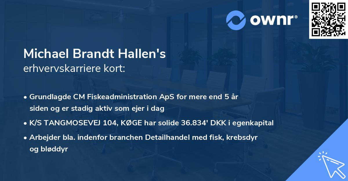 Michael Brandt Hallen's erhvervskarriere kort