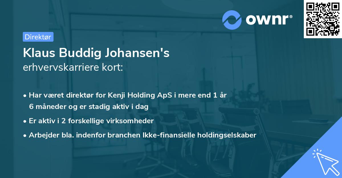 Klaus Buddig Johansen's erhvervskarriere kort