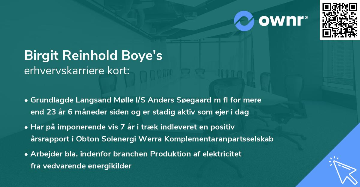 Birgit Reinhold Boye's erhvervskarriere kort