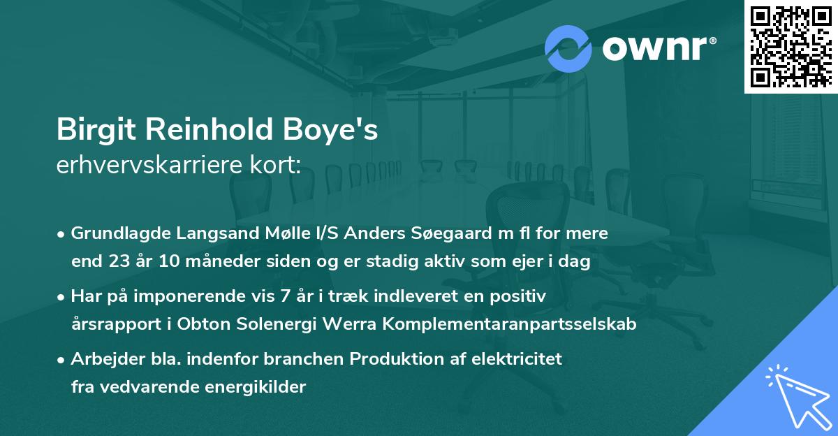 Birgit Reinhold Boye's erhvervskarriere kort