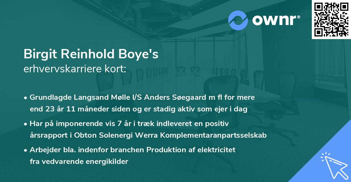 Birgit Reinhold Boye's erhvervskarriere kort