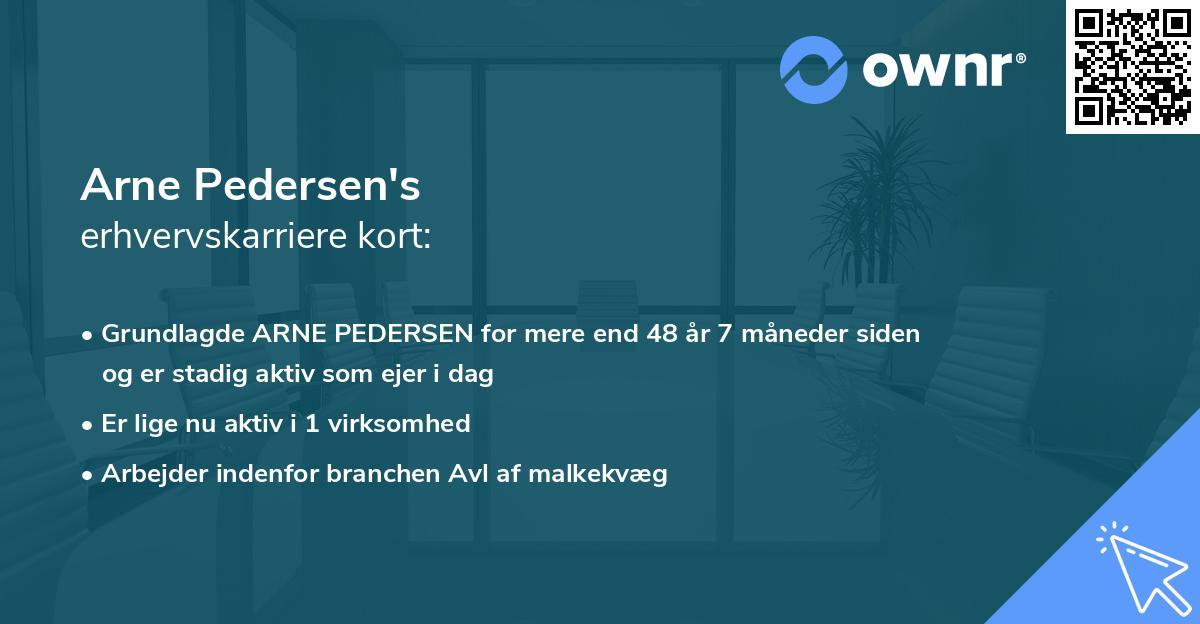 Arne Pedersen's erhvervskarriere kort