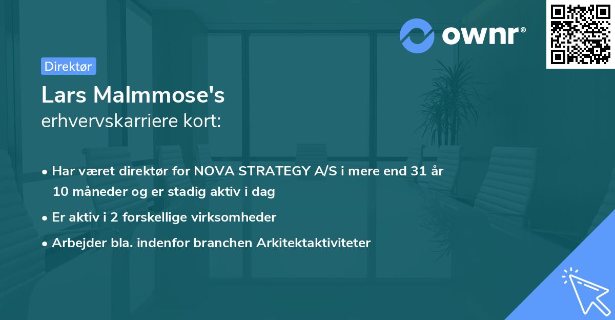 Lars Malmmose's erhvervskarriere kort