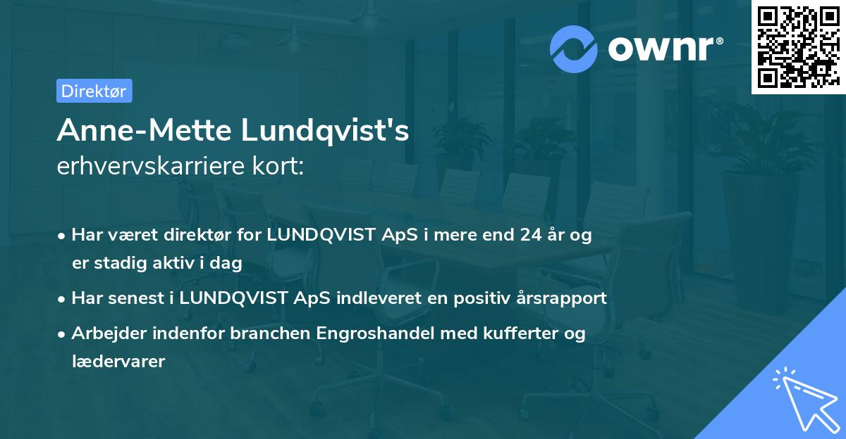 Anne-Mette Lundqvist's erhvervskarriere kort