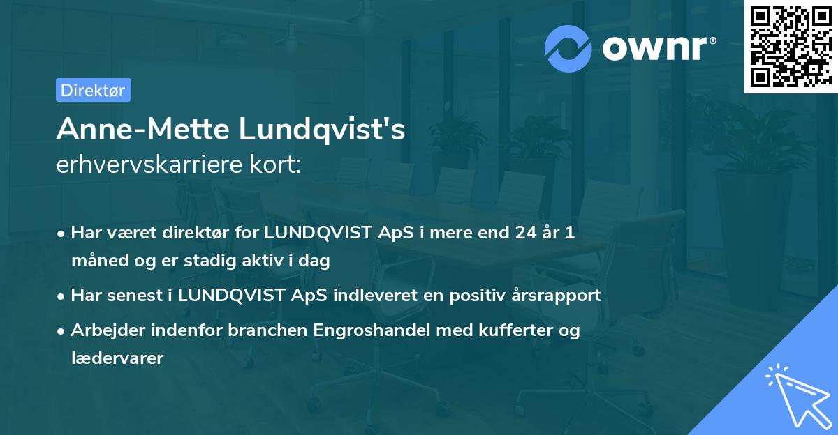 Anne-Mette Lundqvist's erhvervskarriere kort