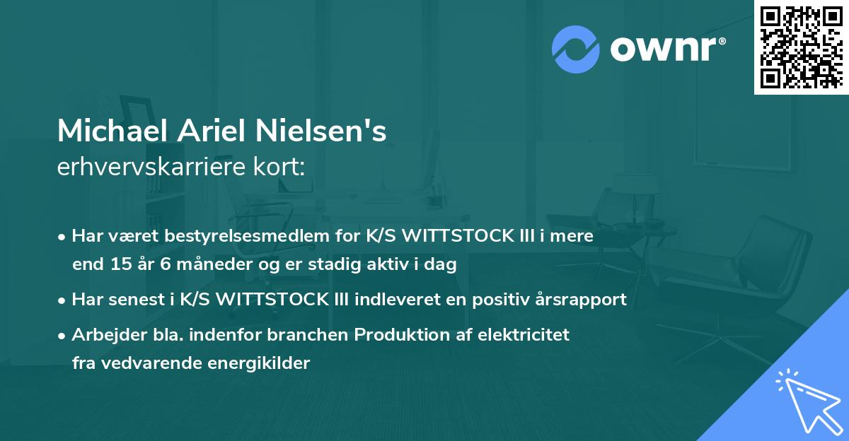 Michael Ariel Nielsen's erhvervskarriere kort