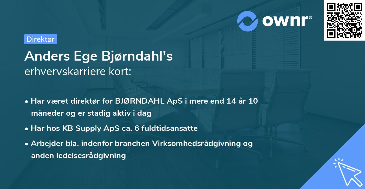 Anders Ege Bjørndahl's erhvervskarriere kort
