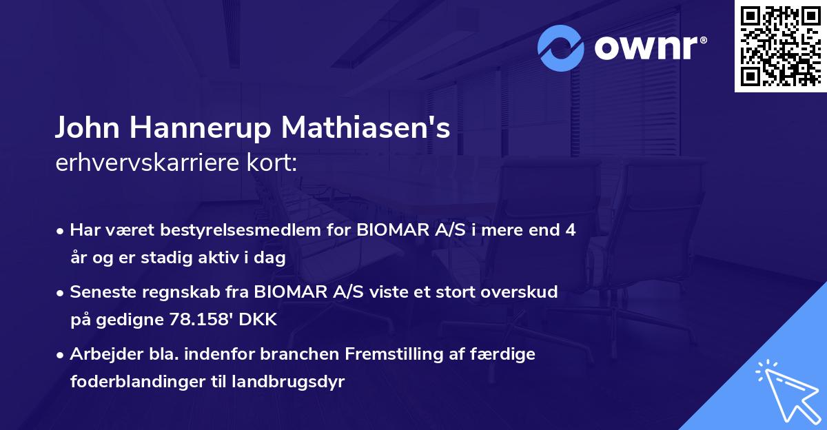 John Hannerup Mathiasen's erhvervskarriere kort