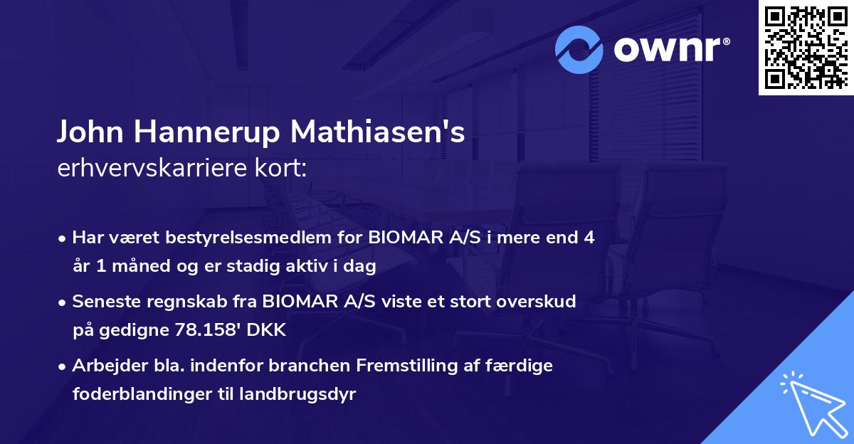 John Hannerup Mathiasen's erhvervskarriere kort