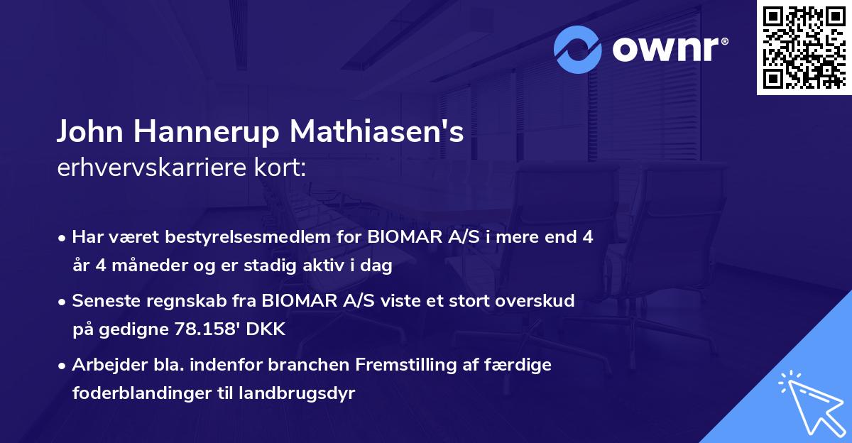 John Hannerup Mathiasen's erhvervskarriere kort