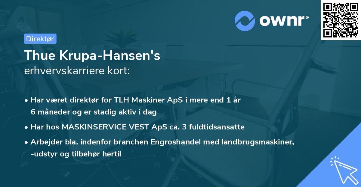 Thue Krupa-Hansen's erhvervskarriere kort