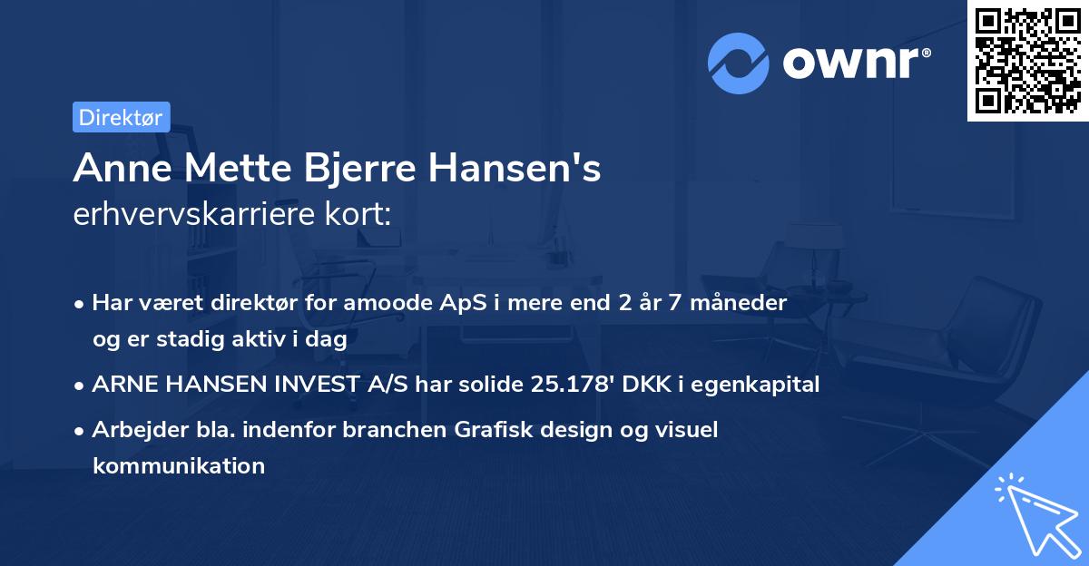 Anne Mette Bjerre Hansen's erhvervskarriere kort