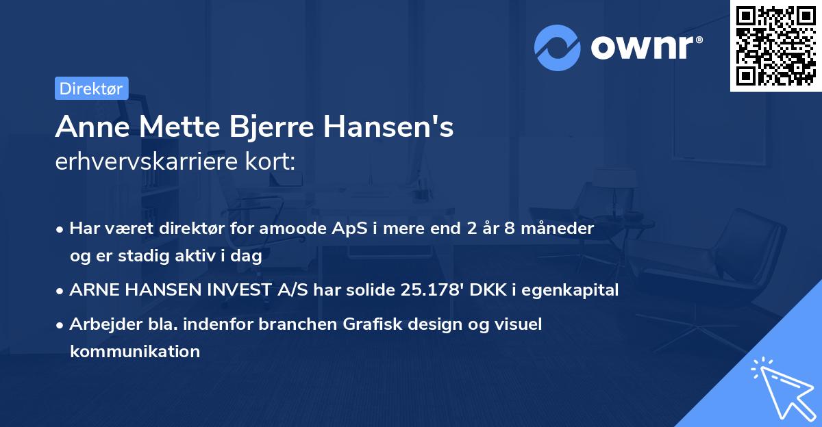 Anne Mette Bjerre Hansen's erhvervskarriere kort