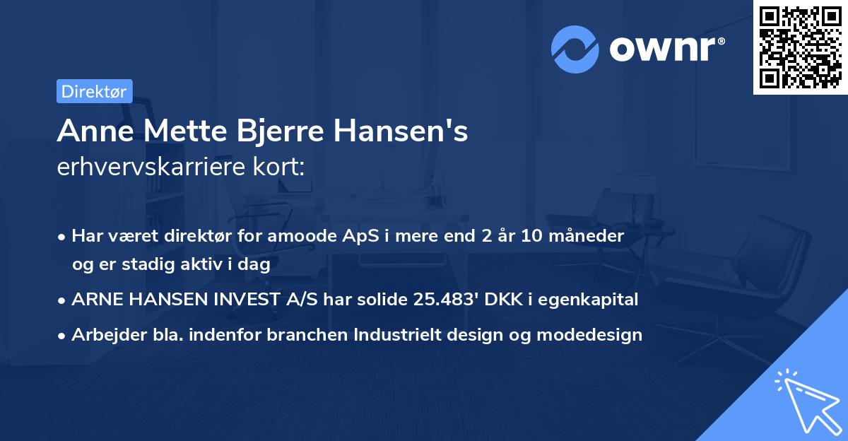 Anne Mette Bjerre Hansen's erhvervskarriere kort
