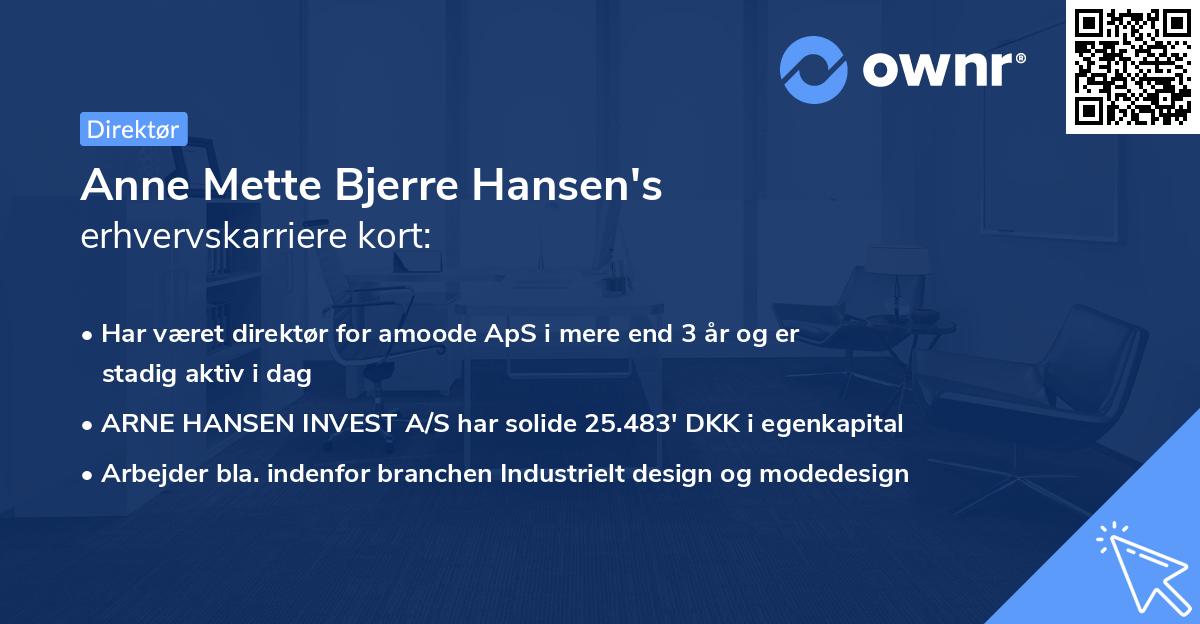 Anne Mette Bjerre Hansen's erhvervskarriere kort
