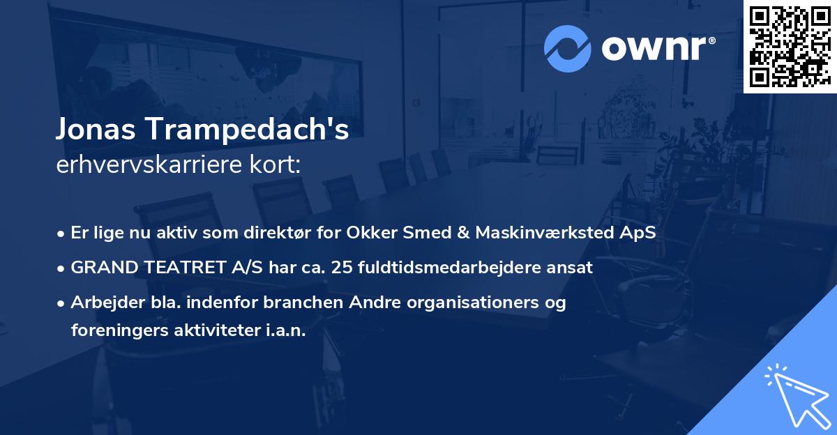 Jonas Trampedach's erhvervskarriere kort