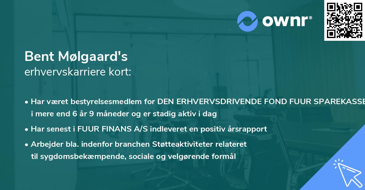 Bent Mølgaard's erhvervskarriere kort