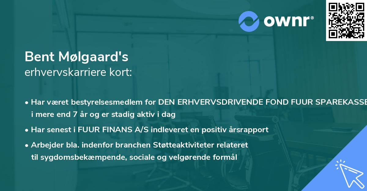 Bent Mølgaard's erhvervskarriere kort