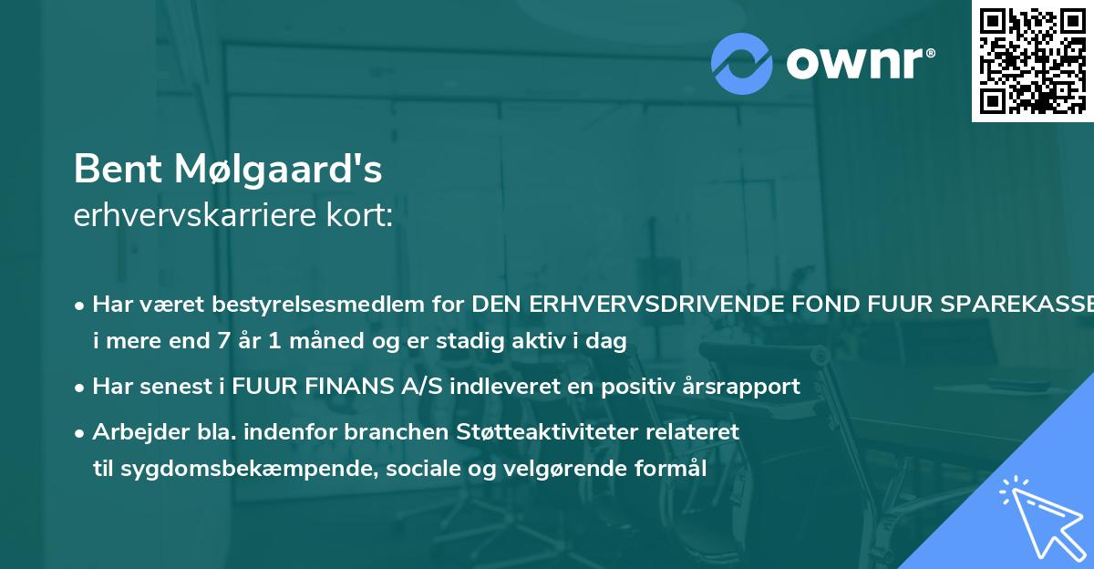 Bent Mølgaard's erhvervskarriere kort