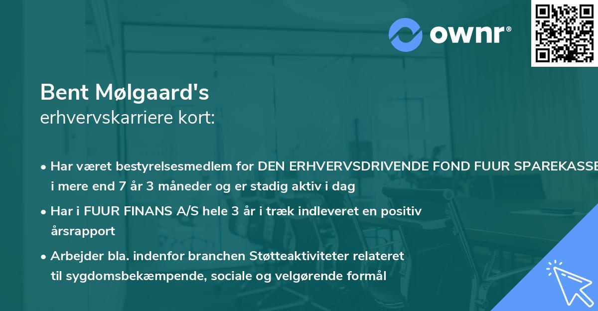 Bent Mølgaard's erhvervskarriere kort