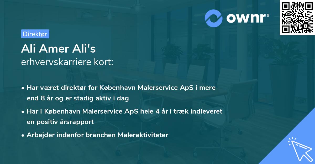 Ali Amer Ali's erhvervskarriere kort