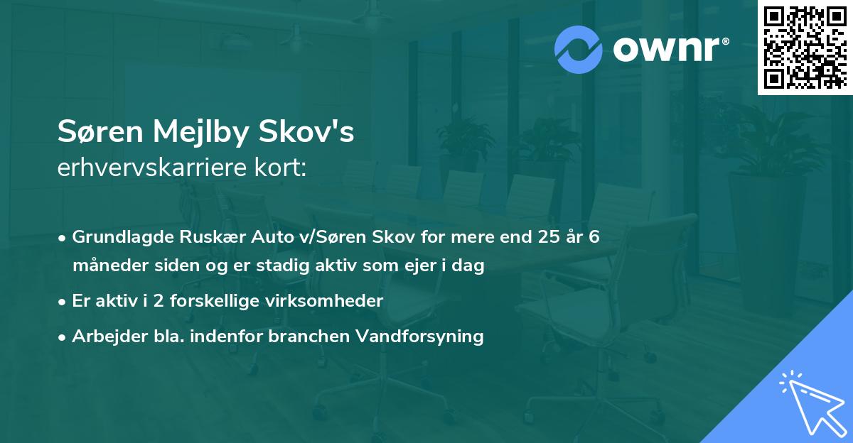 Søren Mejlby Skov's erhvervskarriere kort