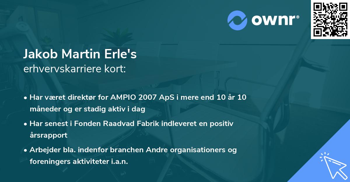 Jakob Martin Erle's erhvervskarriere kort