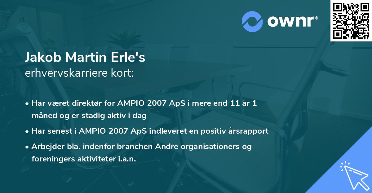 Jakob Martin Erle's erhvervskarriere kort
