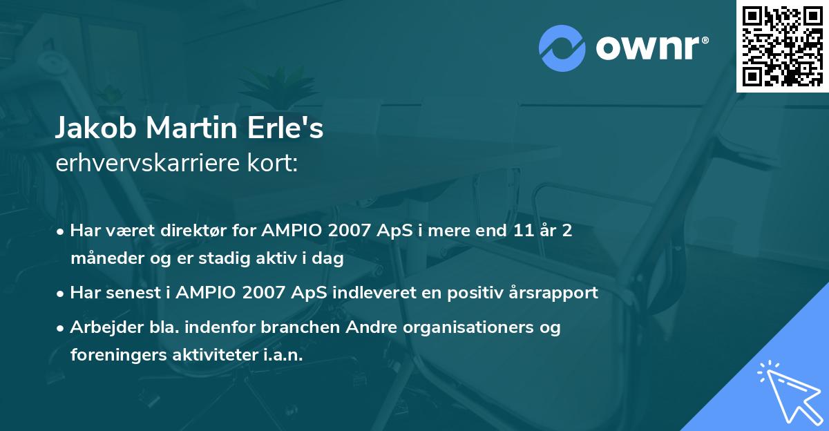 Jakob Martin Erle's erhvervskarriere kort