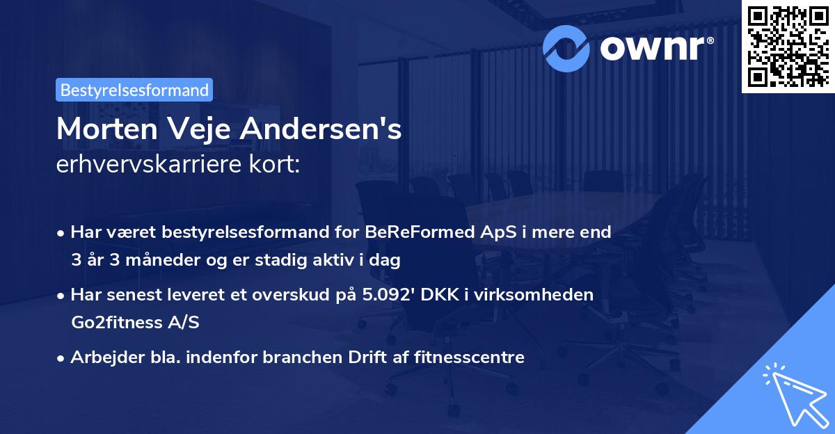 Morten Veje Andersen's erhvervskarriere kort