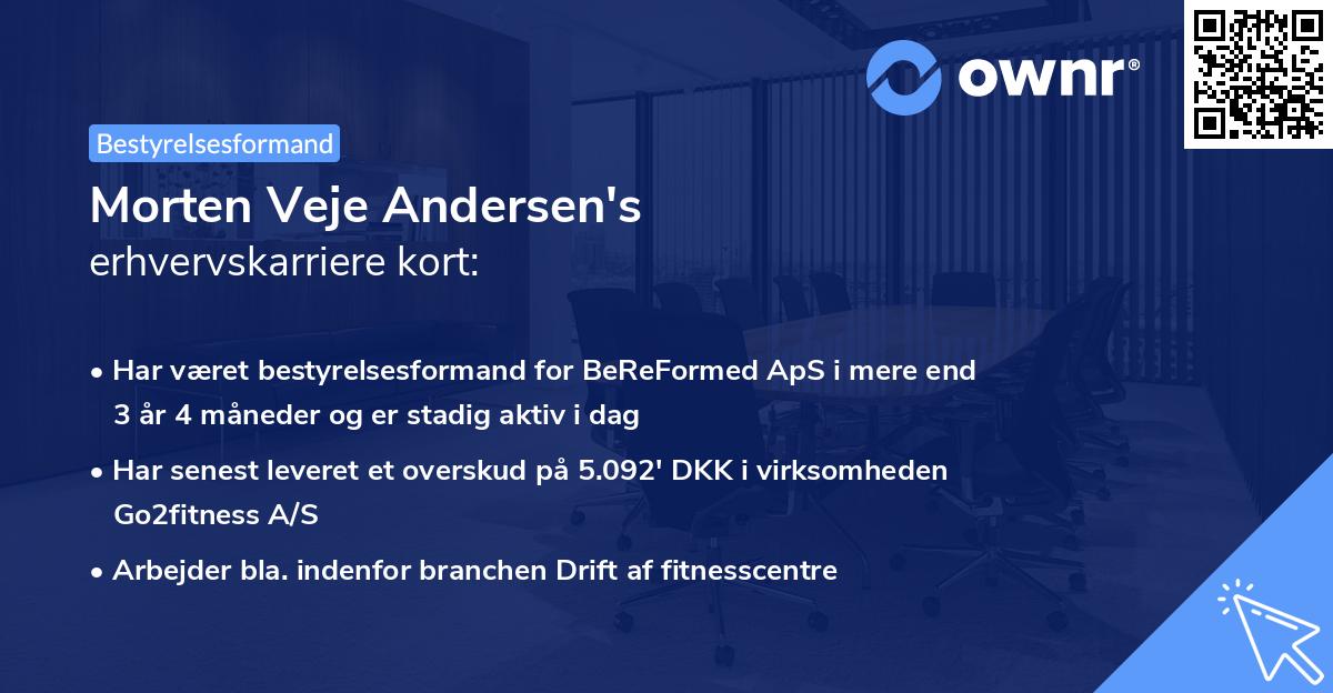 Morten Veje Andersen's erhvervskarriere kort