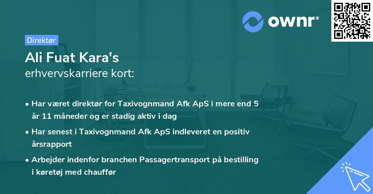 Ali Fuat Kara's erhvervskarriere kort