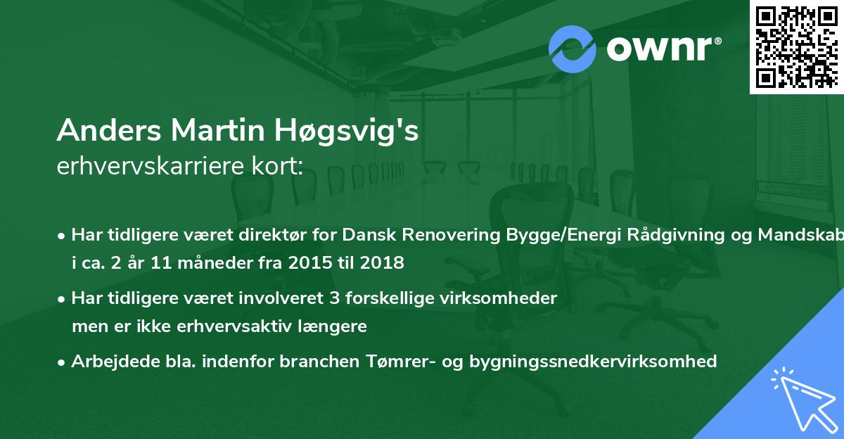 Anders Martin Høgsvig's erhvervskarriere kort