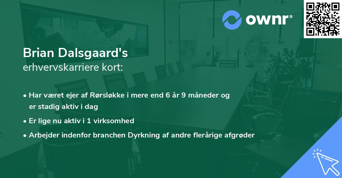 Brian Dalsgaard's erhvervskarriere kort