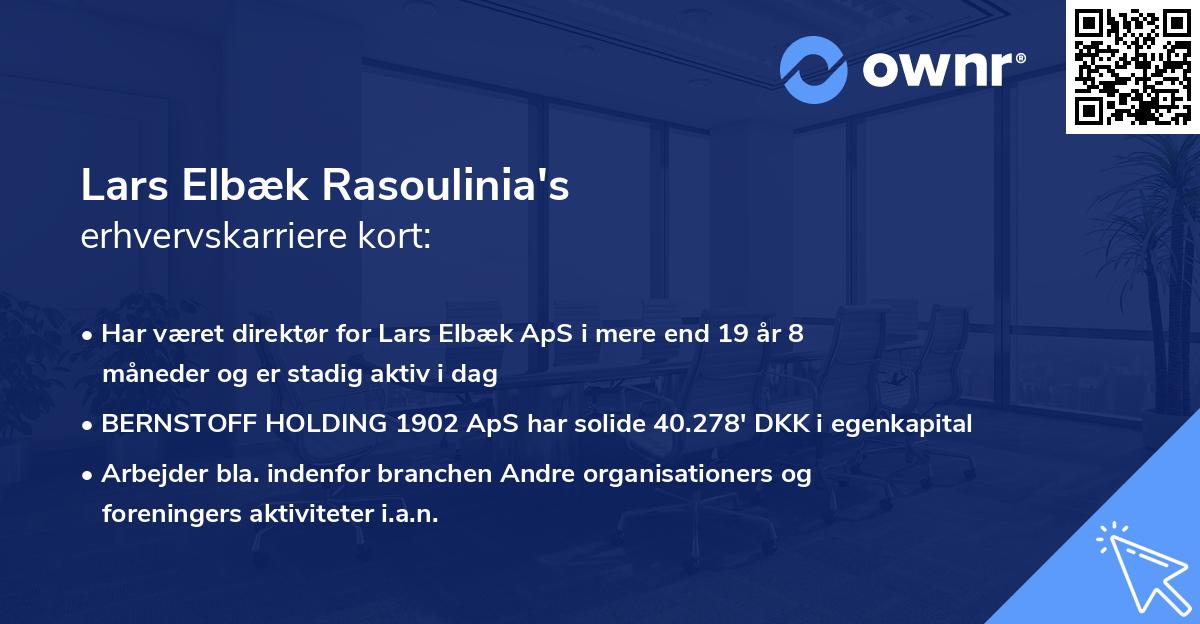 Lars Elbæk Rasoulinia's erhvervskarriere kort