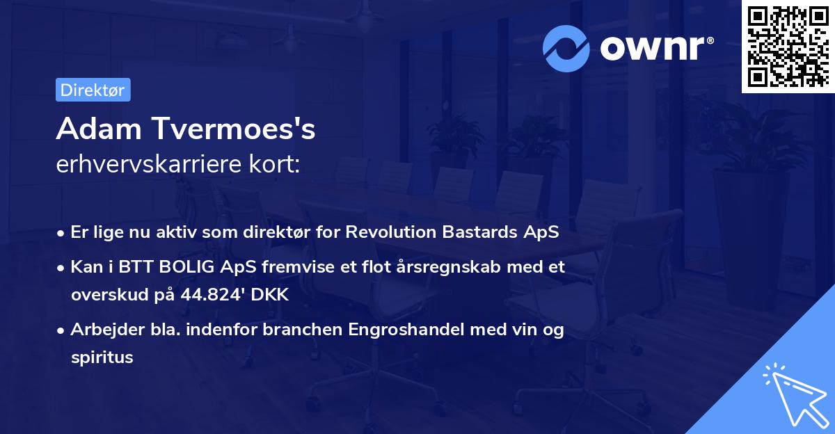 Adam Tvermoes's erhvervskarriere kort