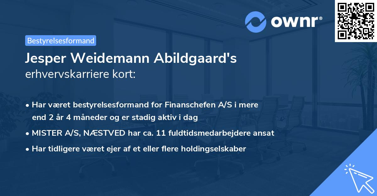 Jesper Weidemann Abildgaard's erhvervskarriere kort