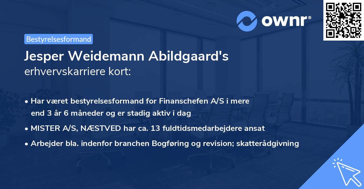 Jesper Weidemann Abildgaard's erhvervskarriere kort