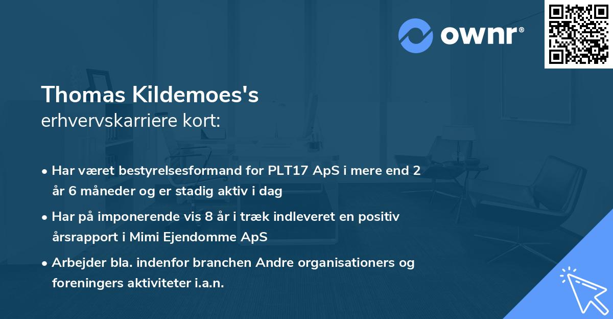 Thomas Kildemoes's erhvervskarriere kort