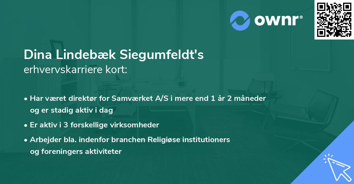 Dina Lindebæk Siegumfeldt's erhvervskarriere kort