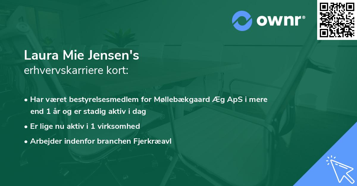 Laura Mie Jensen's erhvervskarriere kort