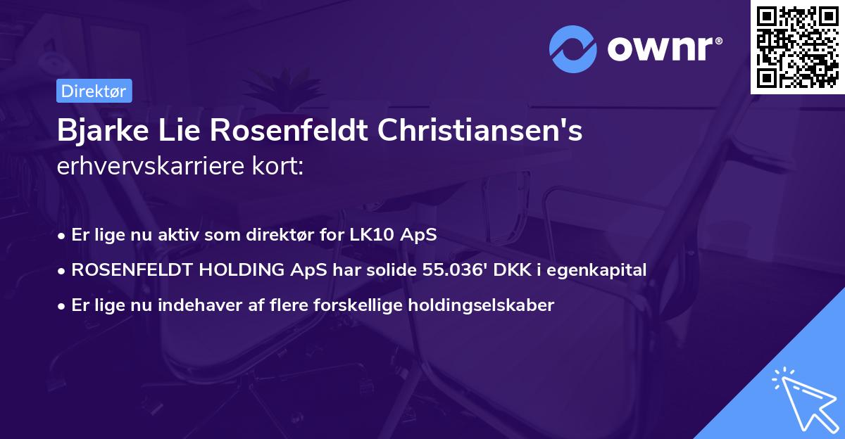 Bjarke Lie Rosenfeldt Christiansen's erhvervskarriere kort