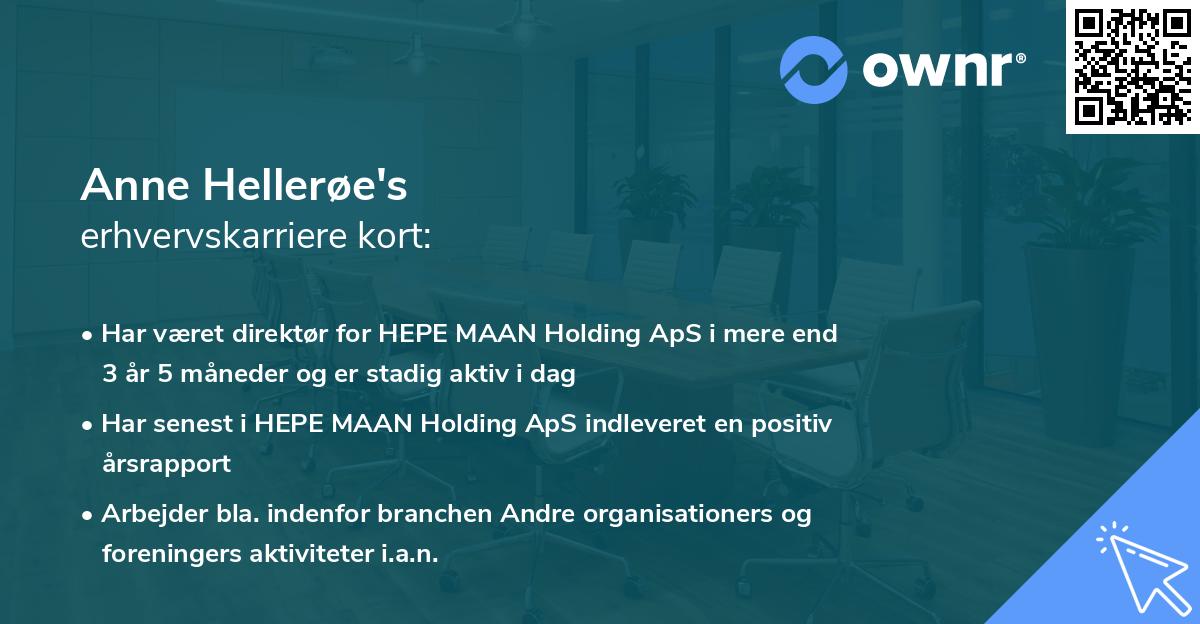 Anne Hellerøe's erhvervskarriere kort