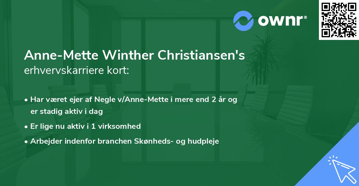 Anne-Mette Winther Christiansen's erhvervskarriere kort