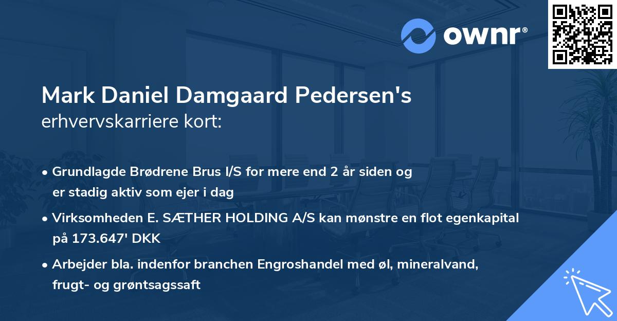 Mark Daniel Damgaard Pedersen's erhvervskarriere kort