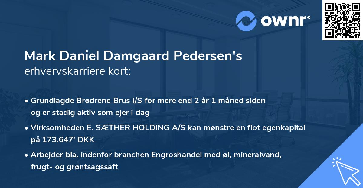 Mark Daniel Damgaard Pedersen's erhvervskarriere kort
