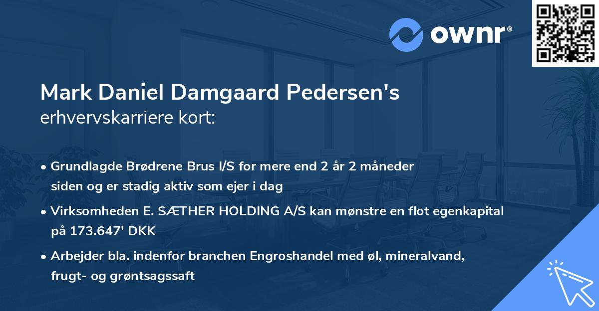 Mark Daniel Damgaard Pedersen's erhvervskarriere kort
